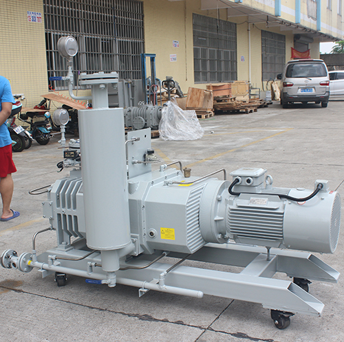 RSP650榦(gan)式螺(luo)桿真(zhen)空(kong)泵 好(hao)凱悳(de)Hokaido螺(luo)桿泵