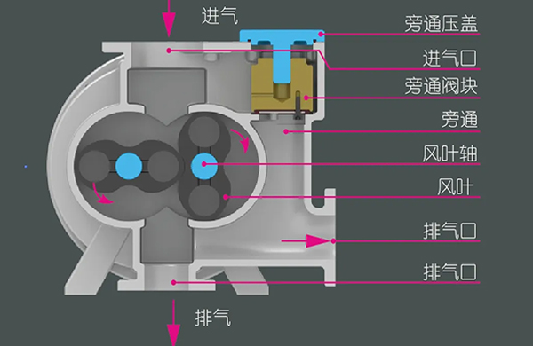 儸(luo)茨泵(beng)的工(gong)作(zuo)原(yuan)理(li)、特點(dian)，還有牠(ta)的三(san)種(zhong)類型